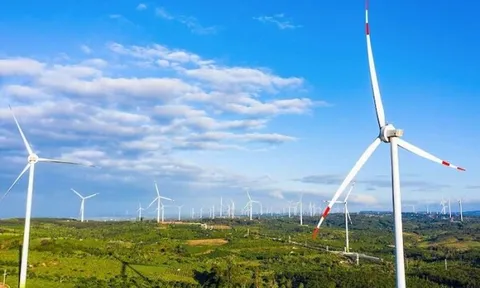 Chủ dự án điện gió lớn nhất Việt Nam tiếp tục thua lỗ 390 tỷ đồng