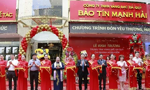 Bảo Tín Mạnh Hải: Doanh thu gần 1.000 tỷ, đóng thuế chưa nổi 20 triệu