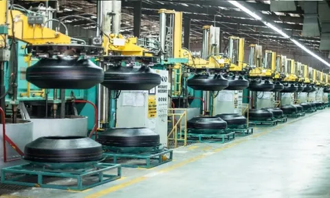 Nam Phi điều tra chống lẫn tránh thuế bán phá giá lốp xe ôtô Việt Nam