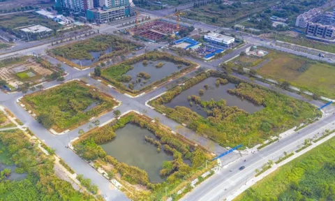 Tăng cọc đấu giá đất lên 100% mức khởi điểm, 5 năm không được bán?