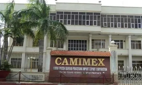 Camimex Group bị phạt 310 triệu đồng do vi phạm hàng loạt lỗi