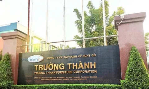 Gỗ Trường Thành, Petrosetco bị HoSE nhắc nhở