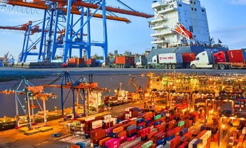 Viconship huy động vốn từ chào bán cổ phiếu giá chỉ 10.000 đồng để mua cảng Nam Hải Đình Vũ