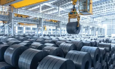 2 mặt hàng Việt Nam bị Ấn Độ khởi xướng điều tra chống bán phá giá
