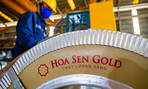 Hoa Sen giải thể công ty cảng quốc tế sau 6 năm 'nằm trên giấy'