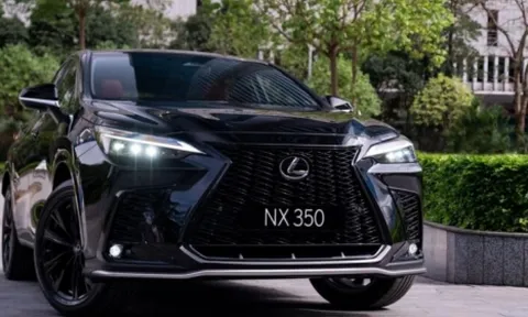 Lỗi hệ thống phanh, hàng loạt ô tô Lexus bị triệu hồi tại Việt Nam
