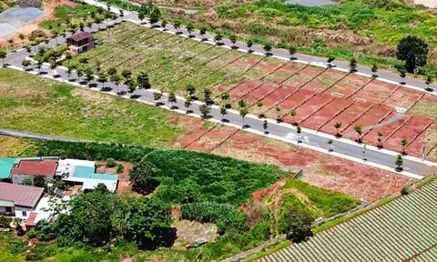 Lâm Đồng: Phát hiện dự án trái phép đang được rao bán rầm rộ