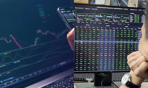 Nhà đầu tư cá nhân mở hơn 170.000 tài khoản chứng khoán trong tháng 9/2023