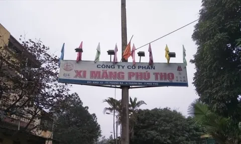 Xi măng Phú Thọ bị cưỡng chế thuế hơn 6,3 tỷ đồng