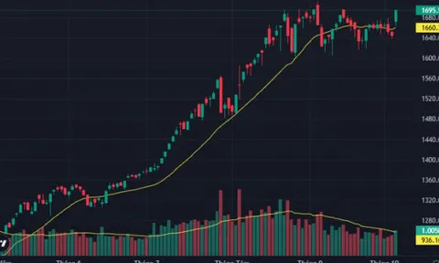 VN-Index đóng cửa tăng gần 50 điểm