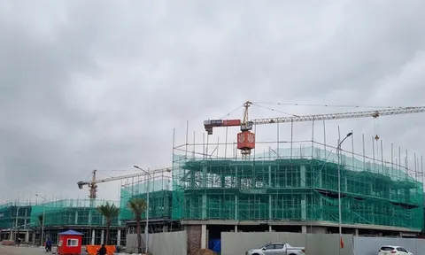 Doanh nghiệp bất động sản của "đại gia" Đỗ Hữu Hạ sắp chào sàn HoSE
