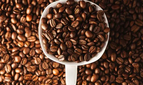 Chuyện lạ: DN có 3 nhân viên, sếp đồng loạt từ chức, cổ phiếu tăng giá gấp 8 lần
