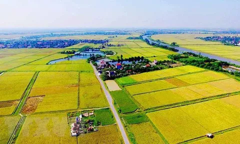 Sổ đỏ đất nông nghiệp hết hạn sử dụng có phải trả lại đất?