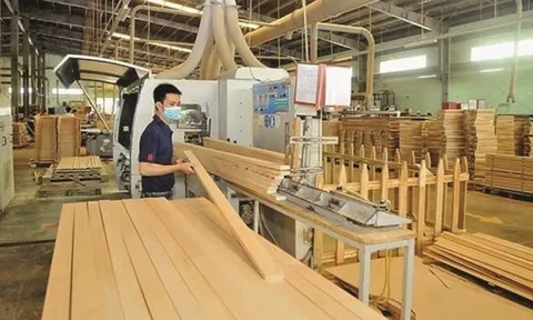 18 sản phẩm xuất khẩu có nguy cơ bị điều tra phòng vệ thương mại