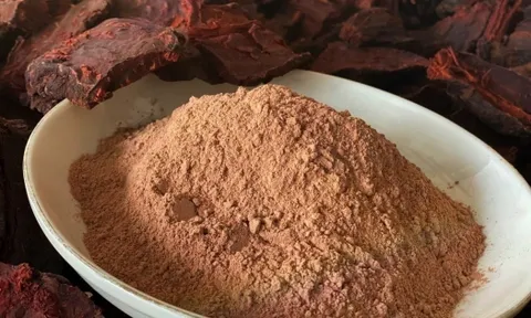 Hà Nội: Khẩn trương xử lý vị thuốc cổ truyền Hà thủ ô đỏ chế vi phạm chất lượng mức độ 2