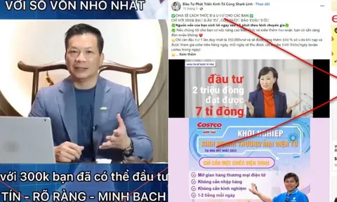 Cảnh giác chiêu mạo danh các Shark, “lùa gà” đầu tư tài chính trên mạng