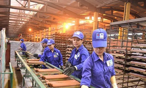 Viglacera Đông Triều đã âm vốn chủ sở hữu