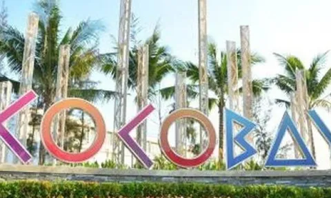Các chủ nợ ở dự án Cocobay Đã Nẵng kiện công ty Thành Đô ra tòa