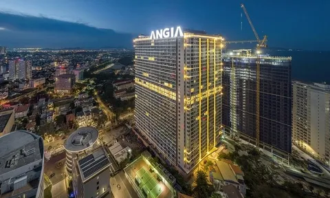 Đằng sau ‘game’ phát hành 40,6 triệu cổ phiếu của An Gia