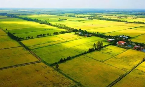 Bán đất không sổ đỏ bị phạt tới 100 triệu đồng