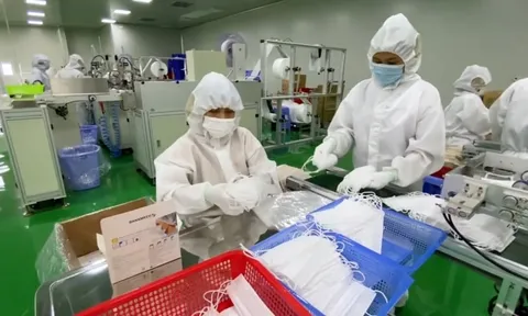 Về tay nhóm đầu tư cá nhân, Danameco kinh doanh ngày càng đổ dốc