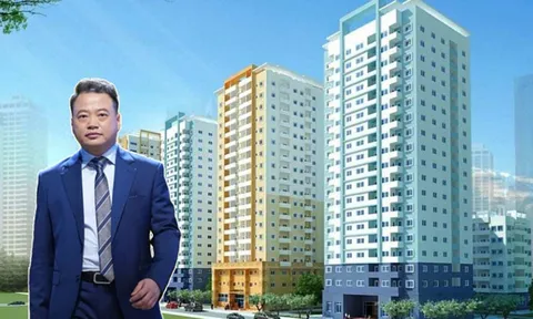 Hé mở về Công ty Bất động sản NextLand liên quan vụ án Shark Bình