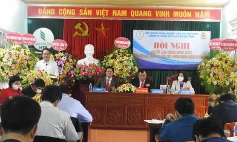 Công ty TNHH MTV Cao su Hà Tĩnh nợ thuế hơn 20 tỷ đồng