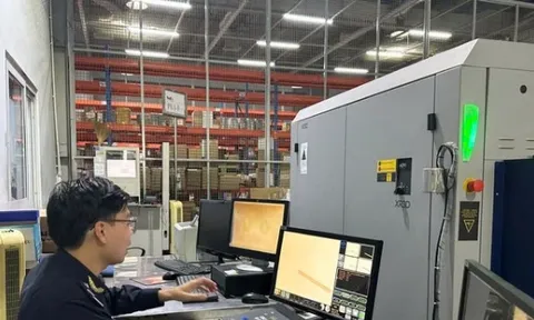 CTCP Phát triển và Kinh doanh Nhà bị cưỡng chế dừng làm thủ tục hải quan