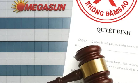 ‘Ngã ngựa’ trên sàn đấu thầu: Megasun bị liệt vào danh sách nhà thầu không uy tín
