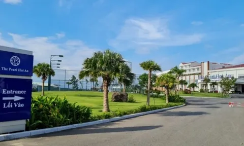 Nợ ''ngập đầu, Công ty Tri Việt Hội An vẫn được Bình Định giao làm dự án 367 tỷ đồng