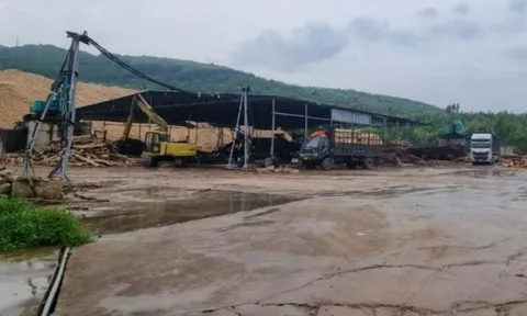 Nghệ An: Vi phạm về chứng từ kế toán, Công ty Minh Long 68 bị phạt 50 triệu đồng