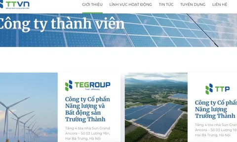 Năng lượng và BĐS Trường Thành: Tài sản hàng nghìn tỷ, bị nêu tên chậm đóng BHXH