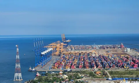 Thành lập Khu thương mại tự do thành phố Hải Phòng
