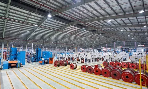 Hai lĩnh vực mang lại 'lợi nhuận khủng' và dài hạn cho GELEX
