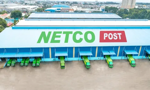 Netco Post: DN chuyển phát vốn 127 tỷ, bị 'bêu tên' chậm đóng BHXH