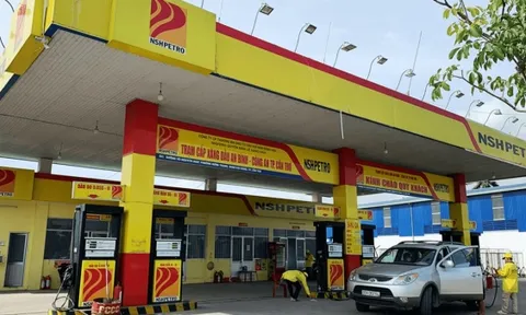 Cổ phiếu PSH của Dầu khí Nam Sông Hậu bị hạn chế giao dịch từ ngày 23/10