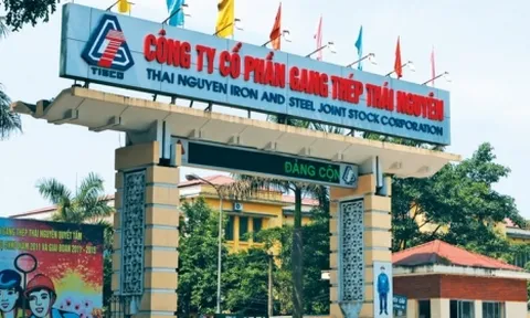 Áp lực nợ, dòng tiền kinh doanh âm, lợi nhuận sau thuế của Gang thép Thái Nguyên bốc hơi 93% sau 9 tháng