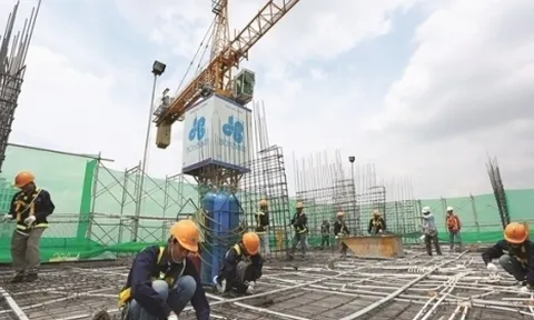 Xây dựng Hòa Bình: Tỷ lệ nợ cao vẫn muốn phát hành 95 tỷ đồng trái phiếu riêng lẻ