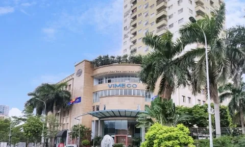 Nội soi sức khoẻ tài chính của Công ty CP Vimeco