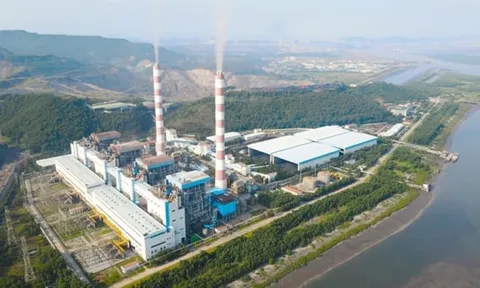 Lợi nhuận quý 3/2023 của Nhiệt điện Quảng Ninh giảm đến 92%