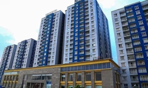 CII Invest mua thành công 2 triệu cổ phiếu NBB