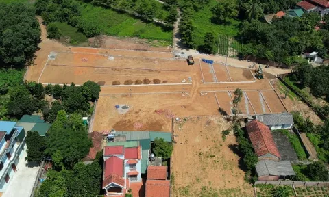 Đề xuất cấm 5 năm người tham gia đấu giá đất rồi bỏ cọc