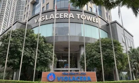 Viglacera giảm lãi hơn trăm tỷ đồng trong quý 3/2025