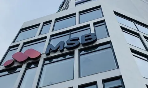 Ngân hàng MSB: Cho vay bất động sản gần 11.000 tỷ đồng, nợ nhóm 5 tăng cao