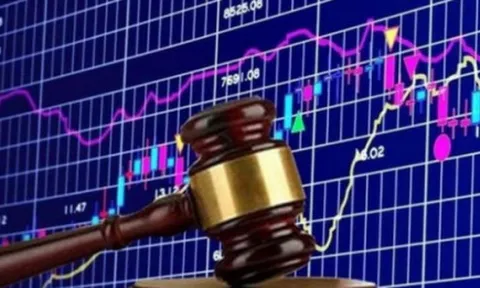 Vi phạm chứng khoán, Công ty Quản lý quỹ Pavo Capital bị phạt 145 triệu đồng