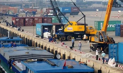 Cảng Phước An lãi 9,92 tỷ đồng trong quý 3/2024 dù không có doanh thu