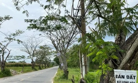 Tp.HCM: Siết phân lô bán nền tại các huyện ngoại thành