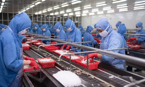 Tốn gần 200 tỷ đồng thuế đối ứng, lợi nhuận của Sao Ta bị bào mòn