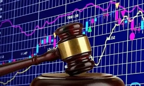 Vi phạm về công bố thông tin, loạt doanh nghiệp bị Uỷ ban chứng khoán Nhà nước “tuýt còi”