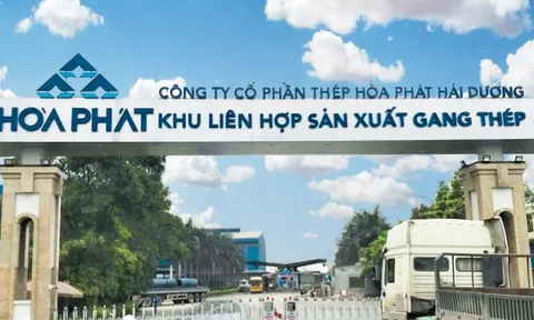 Thép Hòa Phát bị thanh tra